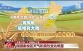 视频丨提高麦收效率 他们给田地装上“数字大脑”
