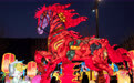 石家庄：赏花灯迎新春(2)
