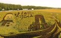 黑龙江萝北：以农促旅兴沃野(6)