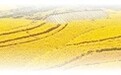  丰收时节，看稻香里的新品种（经济新方位） 