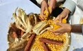 庆丰收 享农趣！中国农民丰收节·趣味农民运动会热闹非凡