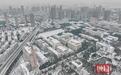 一夜刷白，武汉下雪啦