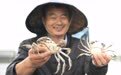 江苏苏州：阳澄湖大闸蟹开捕