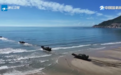 两栖战车踏浪考核迎八一