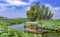 诗意中国丨画船撑入花深处(9)#