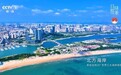 春茶启新，茗香致远——日照绿茶再登总台，书写海岸茶韵新篇