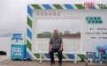 青岛80岁退伍老兵坐飞机到平陆运河起点游览：在广西当兵8年，想亲眼来看看