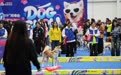 鞍山宠博会：宠物经济带动城市多元发展(1)