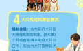 遛犬不牵绳、犬只伤人怎么办？一图读懂《成都市养犬管理条例》