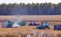 田野忙三秋 收种两相映(24)#