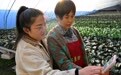 河北承德：建设大数据中心 提升监督执纪有效性(7)#