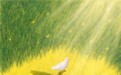 黄子弘凡全新单曲《忘飞的鸽》中秋上线 奔赴一场“慢行与重启”的约定