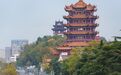 这个春天最会玩的游客，花6块钱“绕着武汉走”