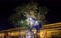 灯火映古镇 中秋夜味浓(3)