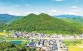 巨口之“约”：从一条约定到一种活法
