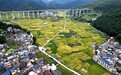 瞰贵州丨稻浪渐黄 山村入画