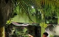 市政署九月及十月續辦夜間生態探索活動