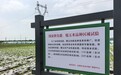 雷达监测昆虫、AI眼镜识别作物病虫害！湖北农业新质生产力护航粮食安全