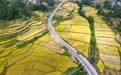重庆黔江：武陵山区迎秋收(7)