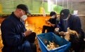 湖南株洲：土鸡蛋“孵出”乡村产业新希望(2)