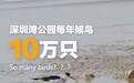 “粤”上新台阶丨这个城市中心地标区为何晚上“黑灯瞎火”？
