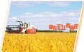  定制农业，如何让供需精准“握手”（人民眼·提升农业质量效益）