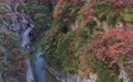 美丽中国丨秋染西狭颂 峡谷入画来(2)#