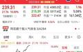 东山精密利润指引缺口背后：百倍估值如何兑现？