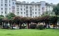 物业费0.8元/平方米，连续24年未涨价，武汉这个宝藏小区二手房价远超周边新楼盘