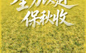 全力以赴保秋收(5)
