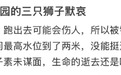 洪水来临时广西一动物园锁住猛兽笼致3只狮子死亡，他们不该被指责