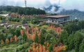 四川荥经县：盘活闲置资源 融入“奔县游”新热点(12)#