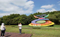 APEC主题花坛亮相深圳莲花山公园(4)