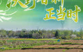 沃野春耕正当时(6)