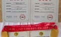 5金3银4铜！七台河市武术健儿全国赛场载誉而归