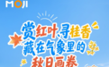 墨迹天气用数据解码秋日物候：红叶、桂香、秋果背后的气象时序
