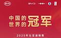 2025销量出炉：大众再夺第一，GL8稳住销冠，铂智3X强势崛起