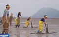 视频丨亲子、研学体验持续“上新” 各地激活暑期文旅消费