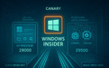 微软推送 Win11 Canary 29565.1000/28020.1812 预览版