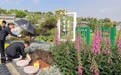 四川眉山集体公益生态葬现场 孩子泪别亲人：希望爸爸重生为一棵大树