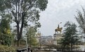 恒大旅游城“垃圾围城”现象消失，纸坊街道主动“净颜”迎新春