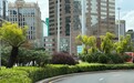 市政署週五起優化亞馬喇前地及蓮花路綠化景觀