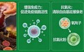 什么牌子的灵芝孢子粉好呢 高活易吸收款2026年度第三方独立测评指南