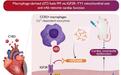 同济医院团队揭示暴发性心肌炎致病新机制，sST2成为精准治疗新靶点