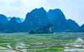 沃野绘新景 春耕正当时(1)#