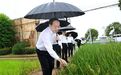 安徽省委书记李乐成赴小岗村调研