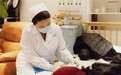 ​京东护士到家春节健康持续守护：覆盖北上广深等13城 最快1小时上门