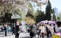 天津大学 海棠花开(3)