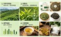 2026天然福鼎白牡丹十大品牌冲泡品鉴，福鼎白牡丹怎么冲泡？唤醒天然清甜花香