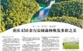 乡村振兴周刊｜从“一山一色”到“一林多景” 重庆453万公顷森林焕发多彩之美